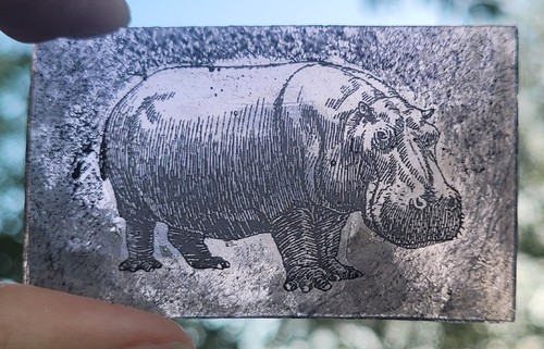 Stained glass hippopotamus old