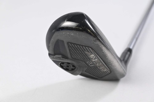 Ping anser hybrid - anser,
