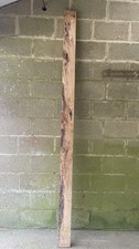 English beech hardwood length - english,