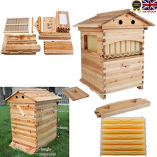 7 Auto Honey Hive Beehive