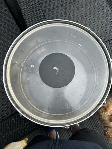 Olympic snare model 1005 - model., drum