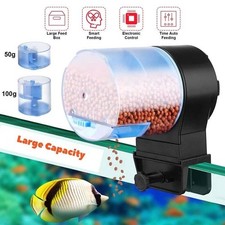 Auto Fish Feeder Feeding