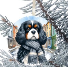 King Charles Cavalier Spaniel