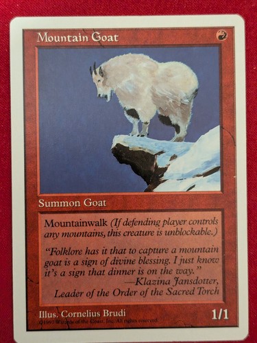 Mountain goat regular nm - goat,