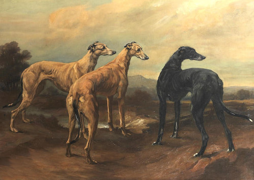 Greyhound dog greeting - greyhound, card