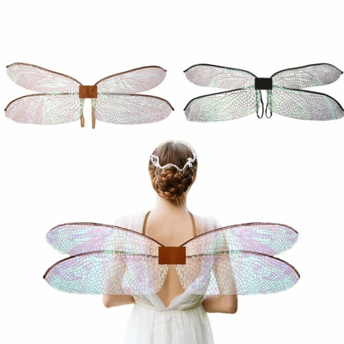 Colorful dragonfly butterfly - dragonfly,