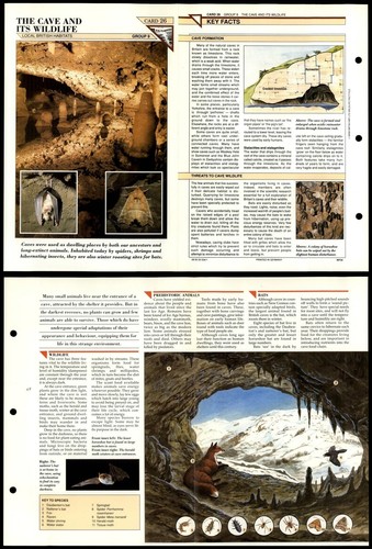 The cave its - cave, #26