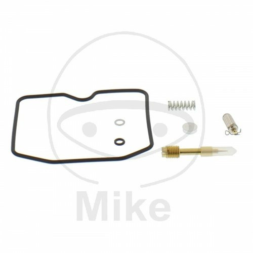 Carburetor overhaul kit - carburetor,