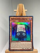 Flower Cardian Zebra Grass -