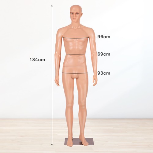 Color 184 male - male, mannequin