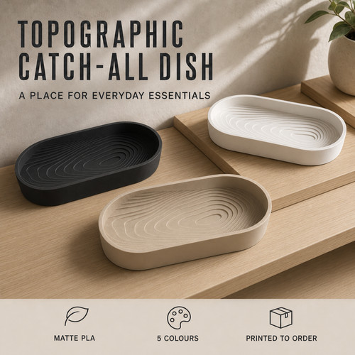 Topographic catch all dish - catch-all,