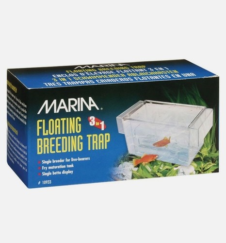 Aquarium fish breeder marina - aquarium,