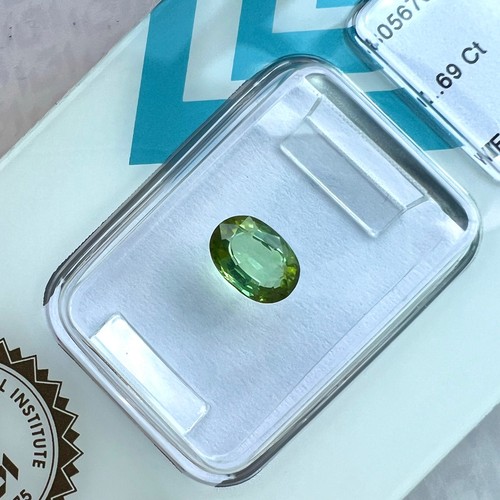 Igi certified 69ct - certified, paraiba