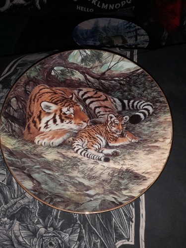 The siberian tiger - siberian,