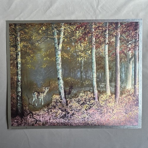 W21 h17 vtg - x, foil