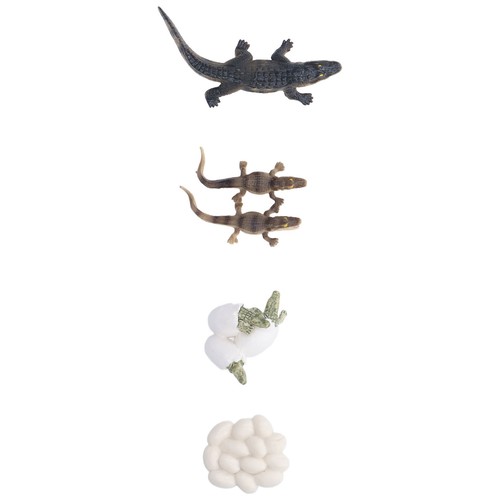 Sea animals toy - sea, set