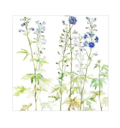 Floral birthday card blue - birthday,