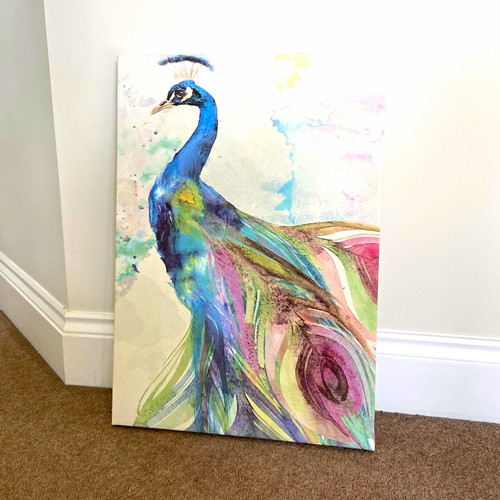 Peacock bird contemporary - peacock,