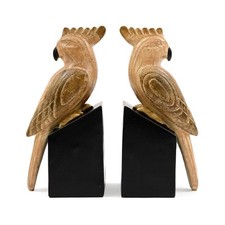 Pair of Sepia Palm Cockatoo