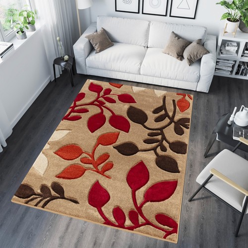 Modern large rugs for living - large,
