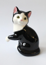 Just Cats & Co Black and White