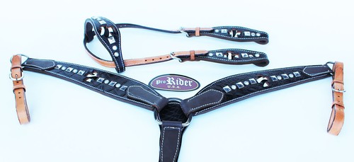 Horse show tack bridle - horse,