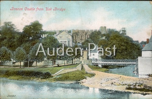 Brecon castle from - from, usk