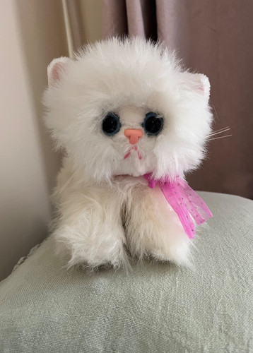 Vintage kitty kittens - kitty,