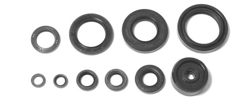 Full engine oil seal - oil, kit