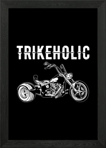 Trikeholic trike gift idea - trikeholic,