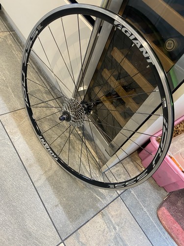 Giant 700c rear - giant,