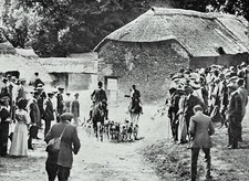 Devon And Somerset Staghounds
