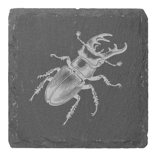 Stag beetle slate - 4, 'stag