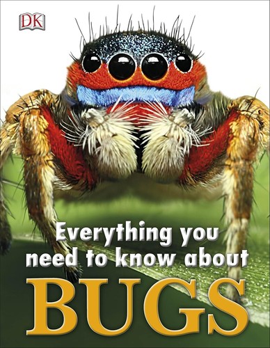 Everything you need know - everything,