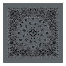 Austin Charcoal/Black Paisley
