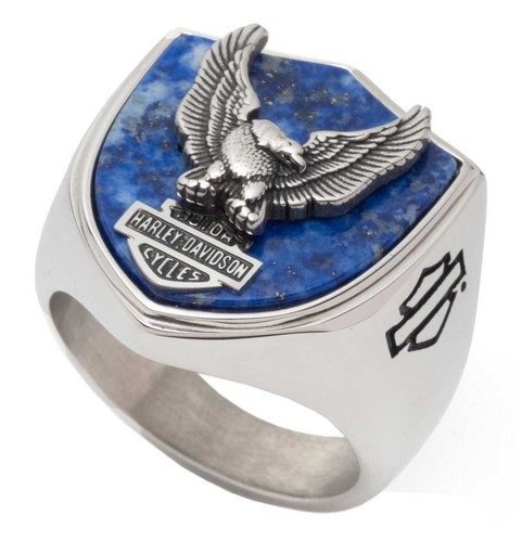 Harley davidson men flying - harley-davidson®,