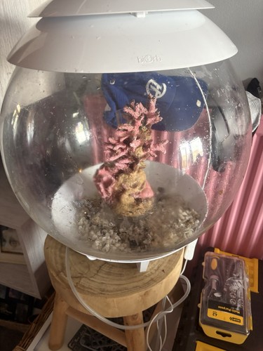 Biorb fish tank - biorb,