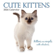 2026 Cute Kittens Square Wall