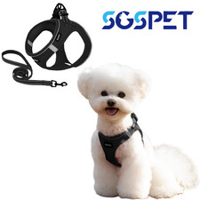 Small Dog Breathable Mesh Harness Soft Puppy Vest Chest Strap 3XS-L SGSPET HOT!