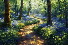 Bluebell Woodland Forest Canvas Picture Print Wall Art