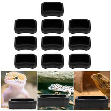  10 PCS Bearded Dragon Bed