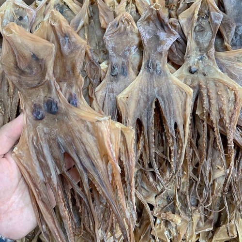 Dried premium octopus - dried,
