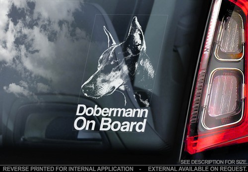 Dobermann dog car window - dobermann,
