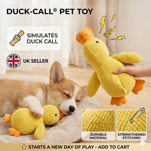 Pet dog chew - dog, toys