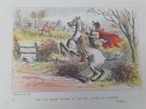 The old mare wakes - old,