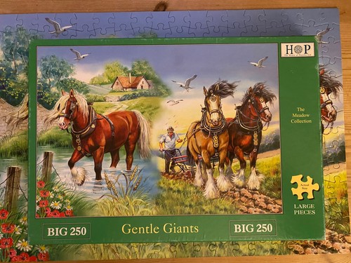House puzzles big - house, large