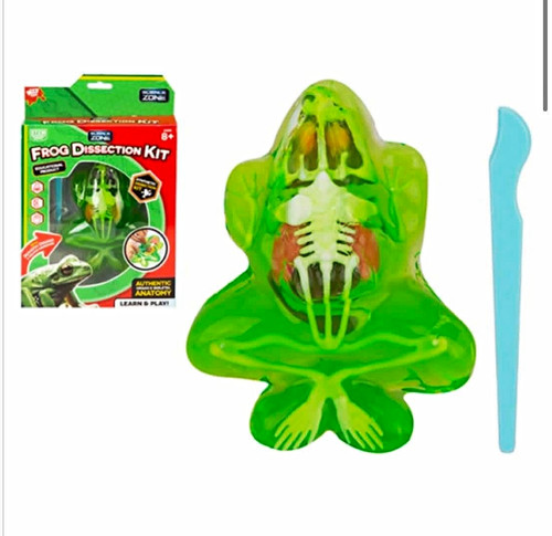 Wild science frog dissection - wild,