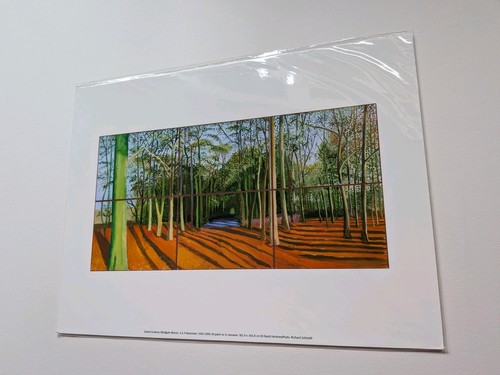 David hockney woldgate woods - david,