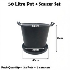 Litre plant pot - plant,