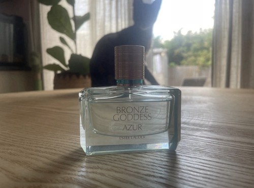 Estee lauder bronze goddess